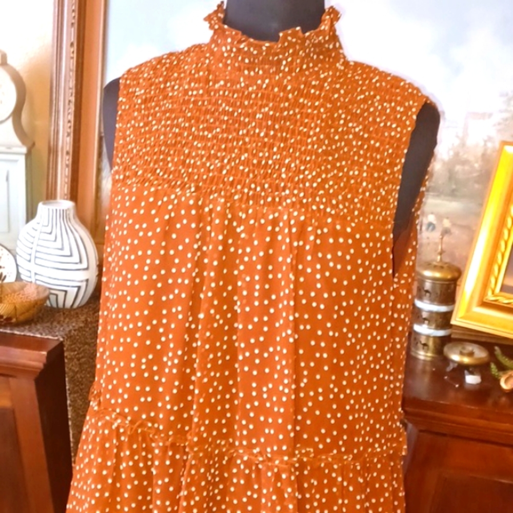 Taylor Polka-dot Fields Dress